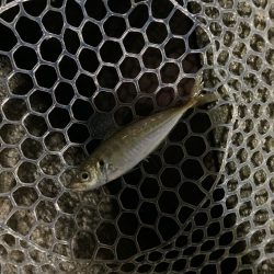 久しぶりのりんくう