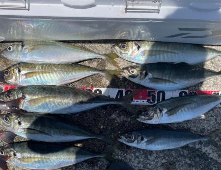 バチコンアジング