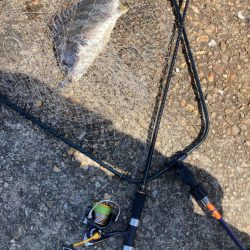 ⭐️久しぶり手応え