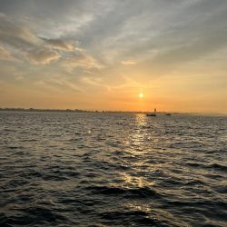 またまたタコチャン