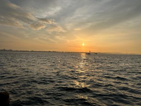 またまたタコチャン