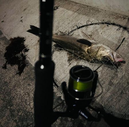 ニューロッド初日で仕留めた1匹