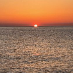 【鳥取コウイカエギング】結局はパタパタが好きみたい!