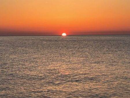 【鳥取コウイカエギング】結局はパタパタが好きみたい!