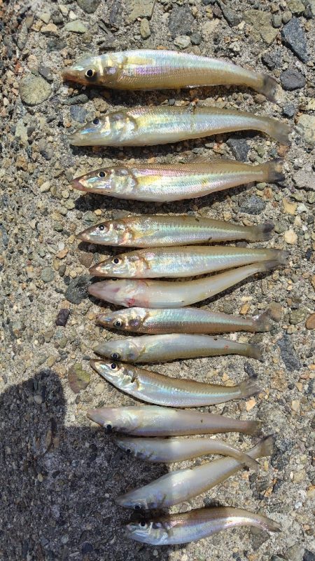 気持ち良い晴天の下。