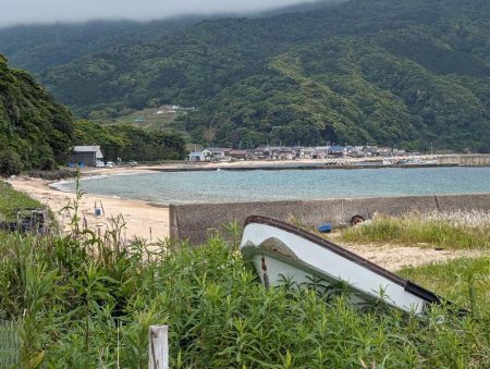 コブダイ・キジハタ