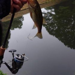 アフターの釣り方