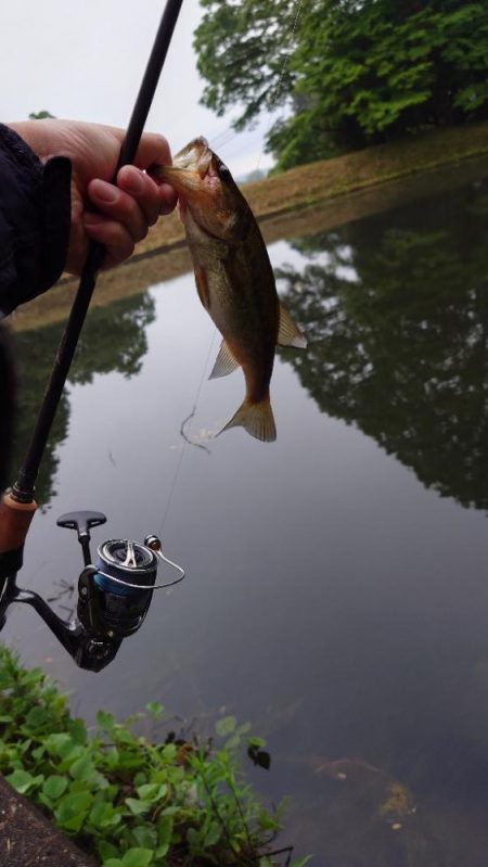アフターの釣り方