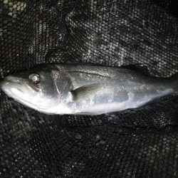 冷たい向かい風…