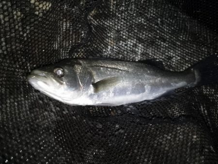 冷たい向かい風…