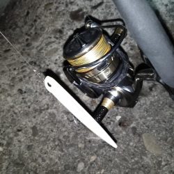 強風でミスバイト多発…