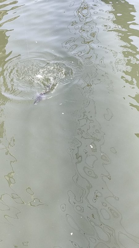 トップチニング