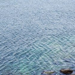 久しぶりの投稿