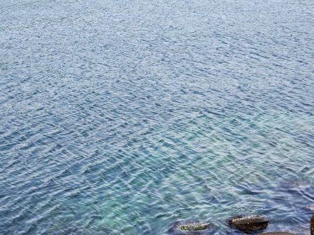 久しぶりの投稿