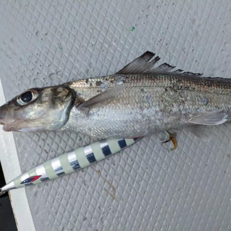 中深海ジギング