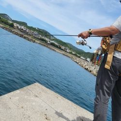 春イカを求めて