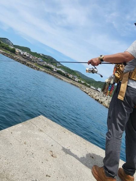 春イカを求めて