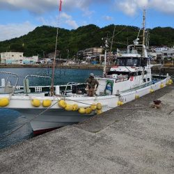 激渋なんとか白甘鯛1匹