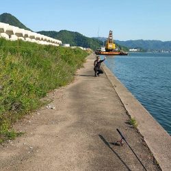 初めて釣ったカマス。