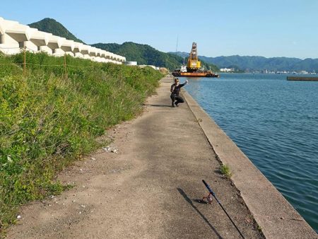 初めて釣ったカマス。