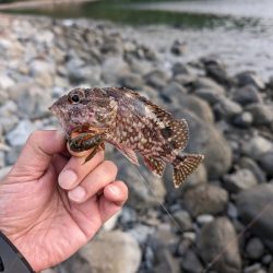 陸っぱり釣行記