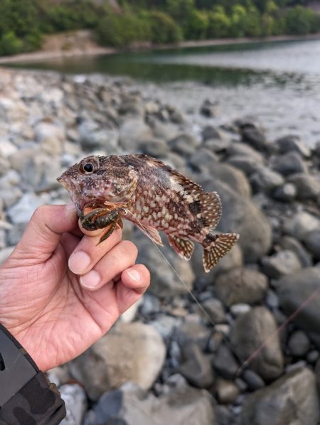 陸っぱり釣行記