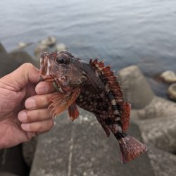 陸っぱり釣行記