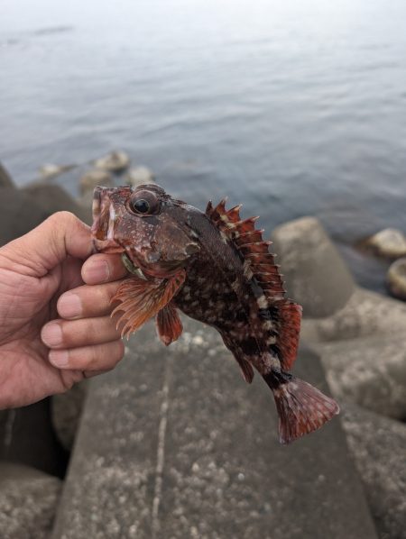 陸っぱり釣行記