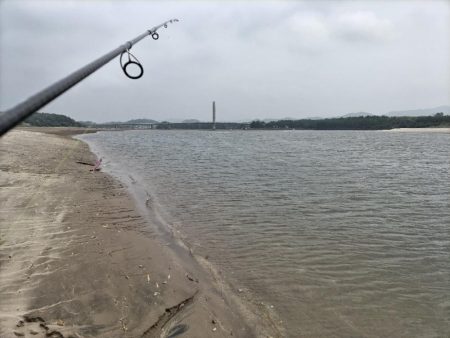 デイゲームでマゴチ釣れました。