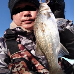 ベタ凪でも釣れました。