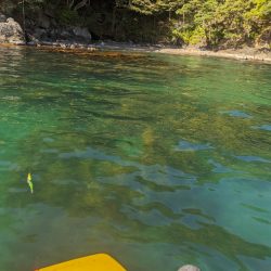 春一番は風の方彡🌀