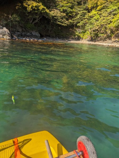 春一番は風の方彡🌀