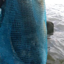 ぶっ込み釣りで…