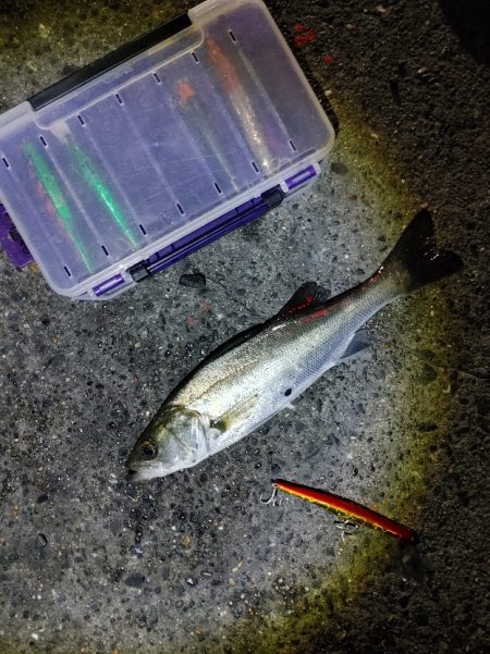 バイト(当たり)は多いです