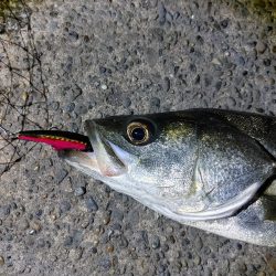 なかなか難しかったです(^^;)