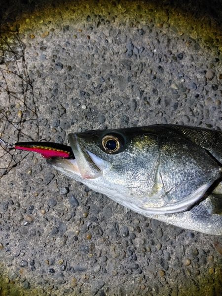 なかなか難しかったです(^^;)