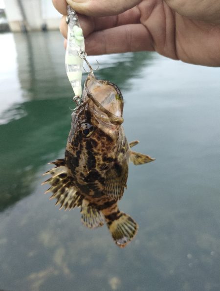 釣りキャン帰りに