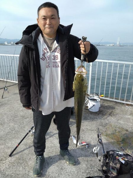 特大シーバス、食べてもうまかった…