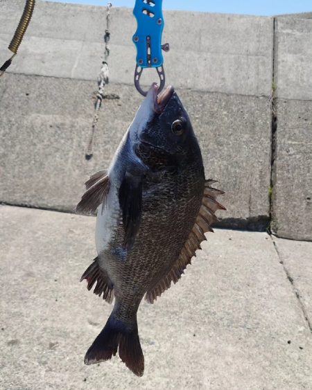 午前中フカセ釣り🎣午後から…