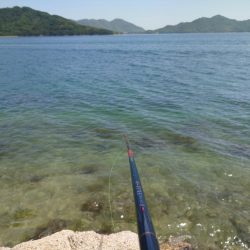 一昨日に続き再び芸予諸島