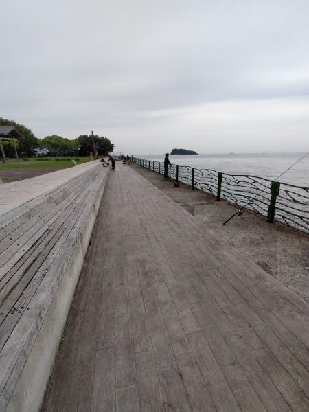 サバ狙い朝釣行