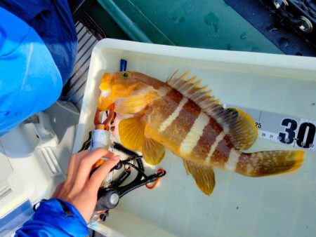 タイラバで甘鯛