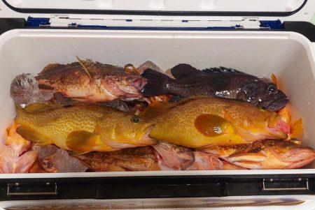 日本海根魚狙い