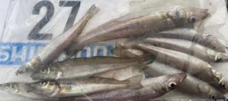 シロギスタのDo As Infinityな一日