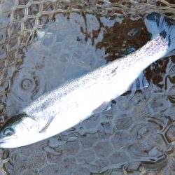 水面が熱い！ ～平谷湖フィッシングスポット…