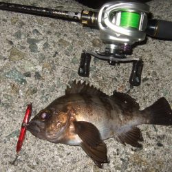 波風治まるまではやや渋め