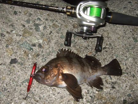 波風治まるまではやや渋め