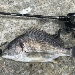 湾奥マルチヒット