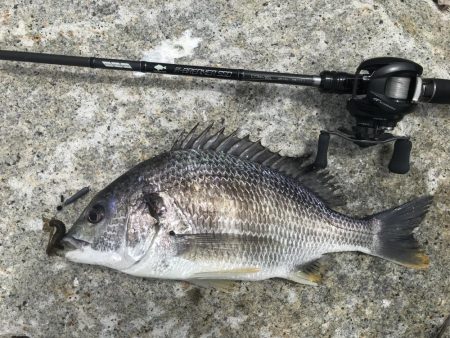 湾奥マルチヒット