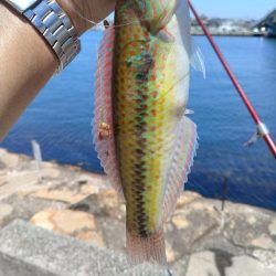 釣友が東二見に集まりました